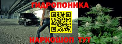 PSILOCYBIN Туймазы