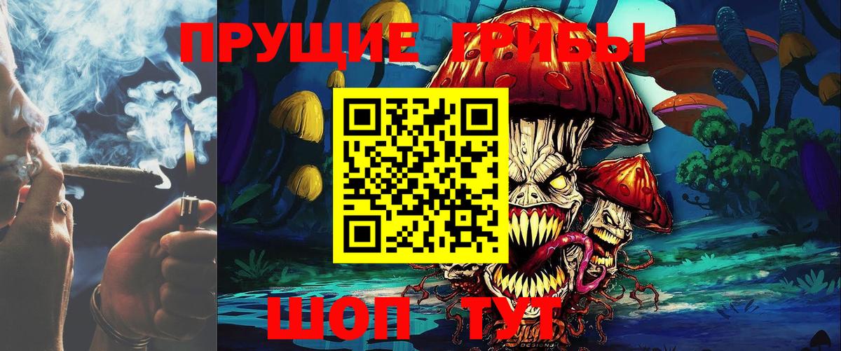 как найти   Вход с VPN  Междуреченск  Галлюциногенные грибы мицелий  Псилоцибиновые грибы MAGIC MUSHROOMS 